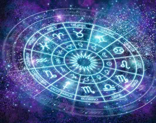 World famous astrologer in india